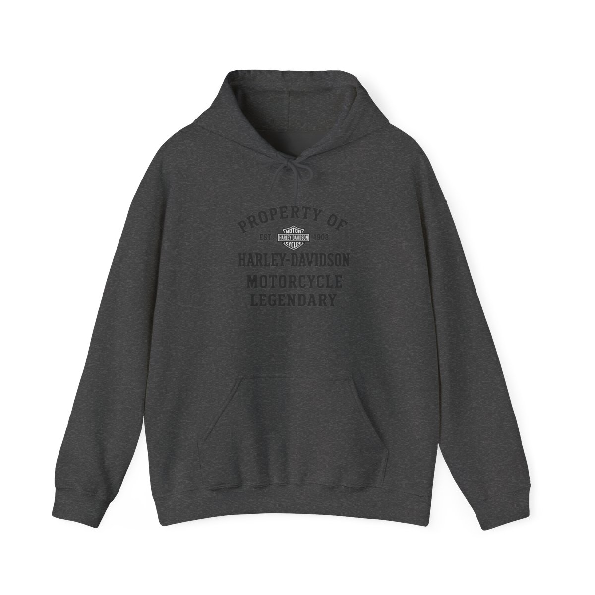 Harley-Davidson "PROPERTY OF EST. 1903 HARLEY-DAVIDSON" Hoodie - alternate angle 4, merchandise