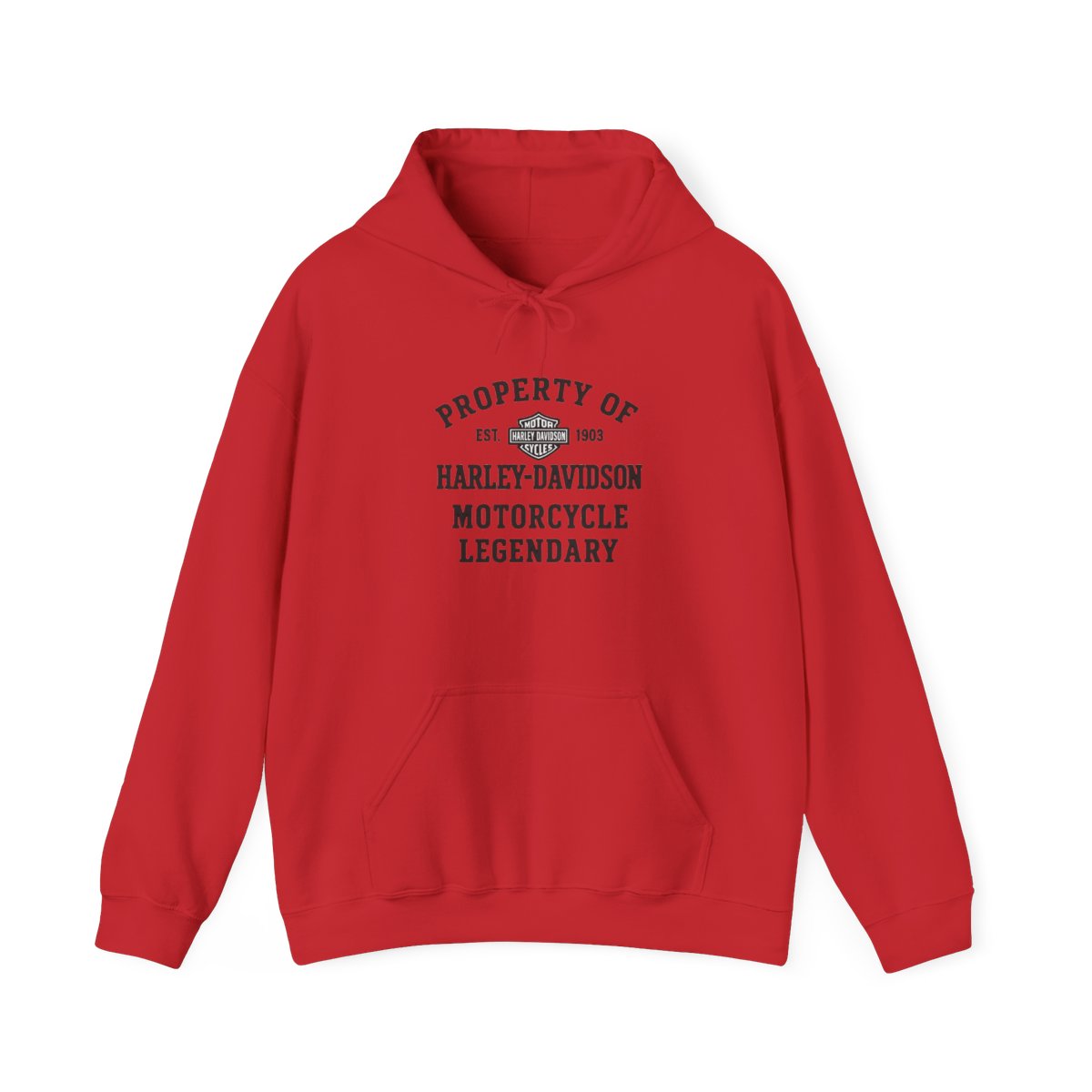 Harley-Davidson "PROPERTY OF EST. 1903 HARLEY-DAVIDSON" Hoodie - alternate angle 2, merchandise