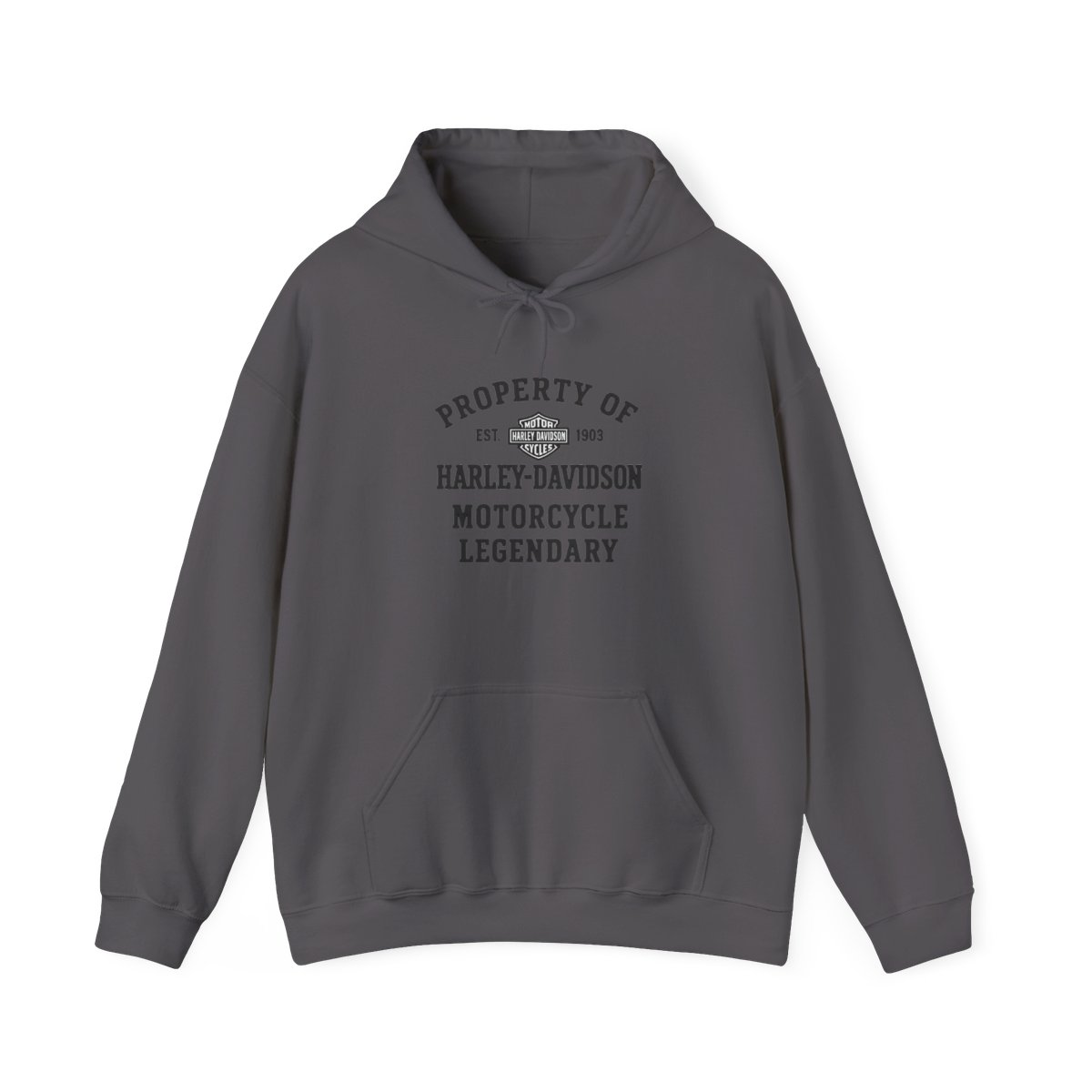 Harley-Davidson "PROPERTY OF EST. 1903 HARLEY-DAVIDSON" Hoodie - alternate angle 3, merchandise